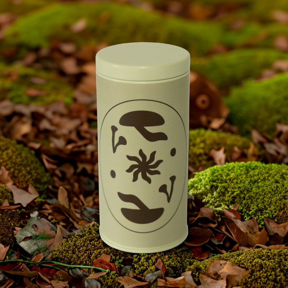 Magic Coconut Creamer